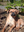 jason123