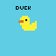 new duck