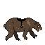 bear2