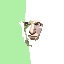 Sprite #142324