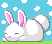 Little Baby Bunny!