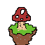 mushrroom island