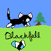 Blackfall The Cat