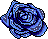 blue Rose