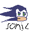 sonic 25th unervistory