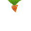 REAL CARROT FOR GAME