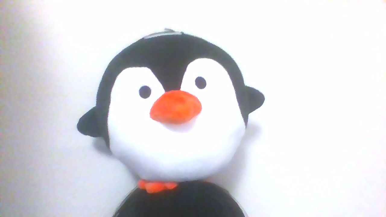 Penguin!!!!!!