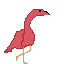 flamingooo