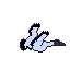 bird2