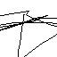 bloempie