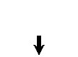 backward_straight