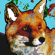 pixled fox feel free to not copy