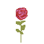 Rose pixel drawing