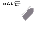 knight