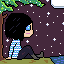 the night sky