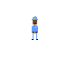 police1