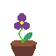 Sprite #170684