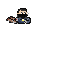 echo2