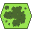 forest1