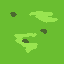 grass