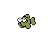dying fish