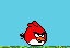 angry bird