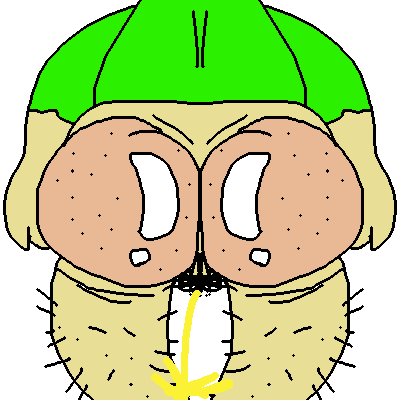 baldi