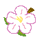 Sprite #184008