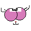 gatito