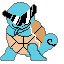 Squirtle Squad Leader