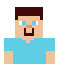 Steve-From Minecraft