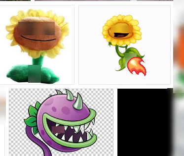 pvz dtmh 18+