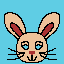 Rabbit 🐇🐇🐇🐇🐇🐇🐇