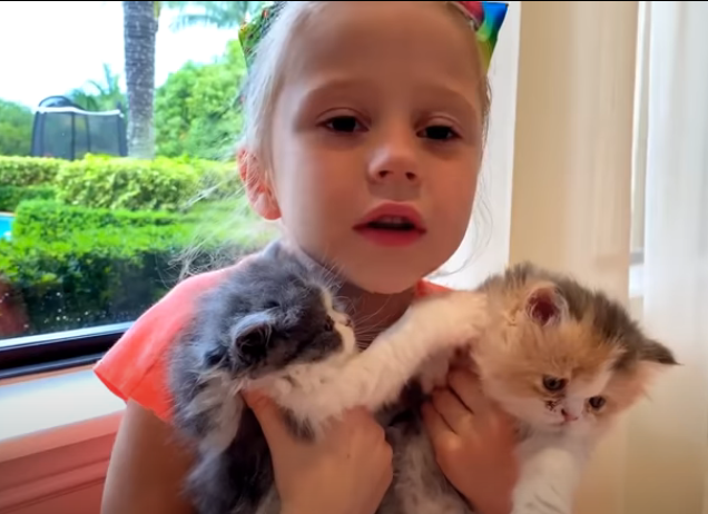 these kittens they will poop nastya want cats to poop constantly in the house smelly in the house
