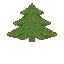 pine