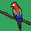 Macaw edited
