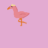 King Flamingo.
