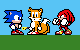 Movie team Sonic
