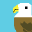 bald eagle