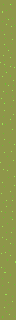Sprite #227664