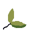 a simple giant leaf sword