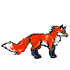 Fox Standing