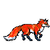 Fox Walking 4