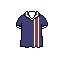psg 2000 s