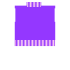 blank purple