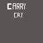 Carrycry