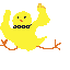 йоу 🐥 