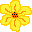 Sunflower (I tried my best!)