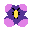 Sprite #78556