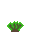 Bush